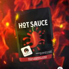 spaceman_mylar graphic - hot sauce_v1_091922 copy