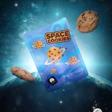 spaceman_mylar graphic - space cookies_v1_091922 copy
